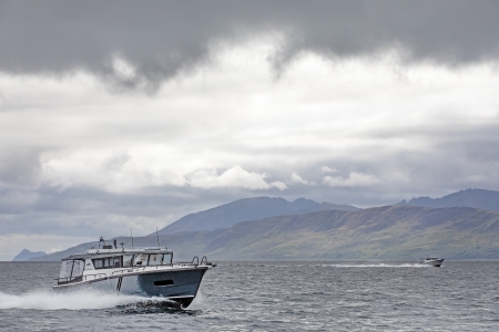 sargo scottish summer cruise image 3